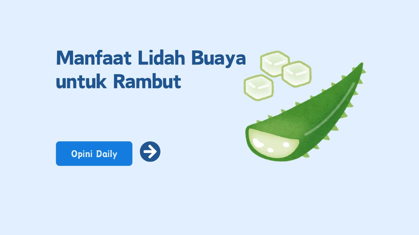 6 Manfaat lidah buaya untuk rambut dan cara pengolahannya